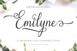 Emilyne: A Sweet Script Font for Web Design