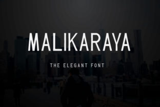 Malikaraya: A Modern Sans Serif for Campaigns