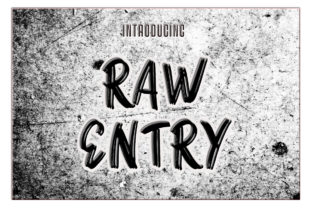 Raw Entry: A Handwritten Font for Creative Web Design